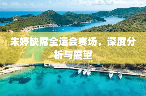 朱婷缺席全运会赛场，深度分析与展望