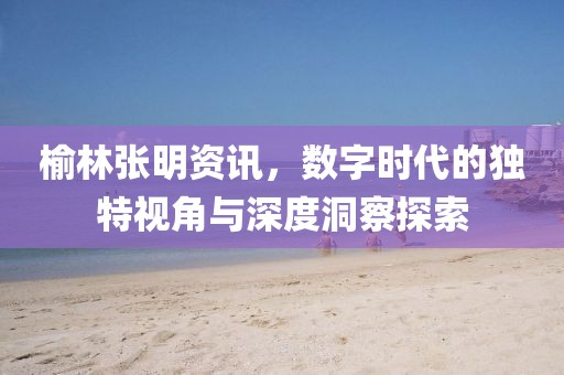 榆林张明资讯，数字时代的独特视角与深度洞察探索