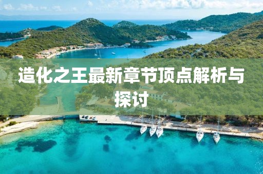 造化之王最新章节顶点解析与探讨