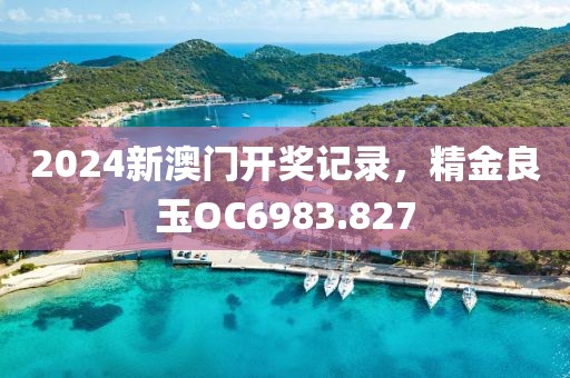 2024新澳门开奖记录，精金良玉OC6983.827