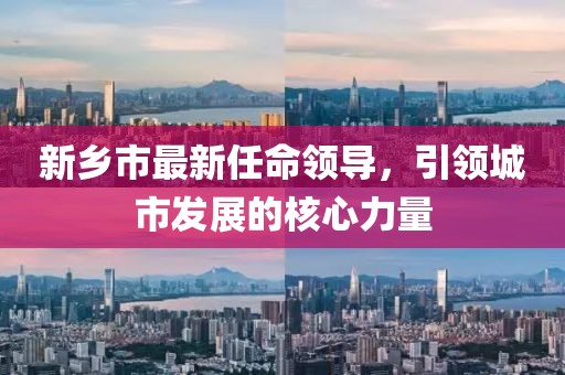 新乡市最新任命领导，引领城市发展的核心力量