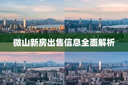微山新房出售信息全面解析