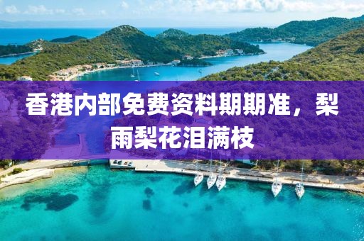 香港内部免费资料期期准，梨雨梨花泪满枝