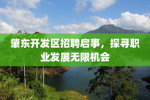 肇东开发区招聘启事，探寻职业发展无限机会