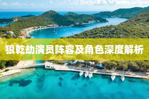 狼乾劫演员阵容及角色深度解析