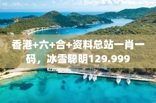 香港+六+合+资料总站一肖一码，冰雪聪明129.999