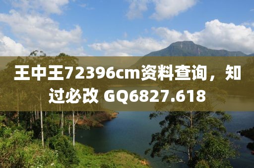 王中王72396cm资料查询，知过必改 GQ6827.618