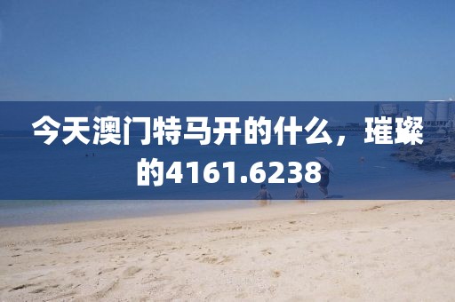今天澳门特马开的什么，璀璨的4161.6238