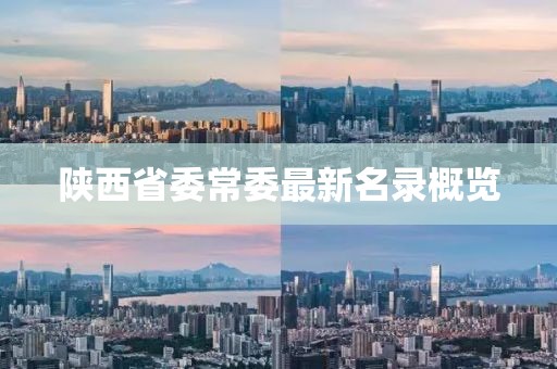 陕西省委常委最新名录概览
