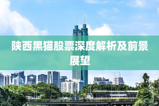 陕西黑猫股票深度解析及前景展望