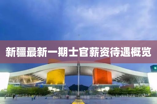 新疆最新一期士官薪资待遇概览
