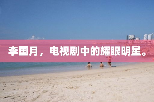 李国月，电视剧中的耀眼明星。