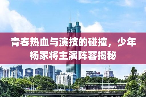 青春热血与演技的碰撞，少年杨家将主演阵容揭秘