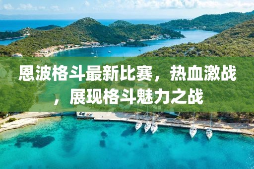 恩波格斗最新比赛，热血激战，展现格斗魅力之战