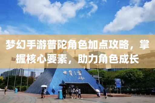 梦幻手游普陀角色加点攻略，掌握核心要素，助力角色成长