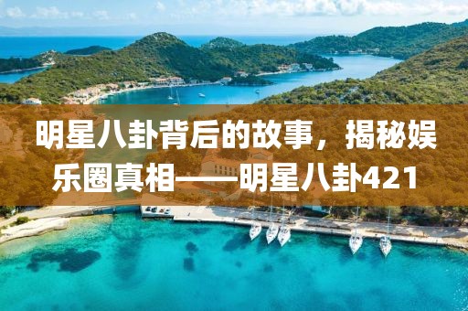 明星八卦背后的故事，揭秘娱乐圈真相——明星八卦421