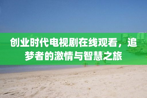 创业时代电视剧在线观看，追梦者的激情与智慧之旅
