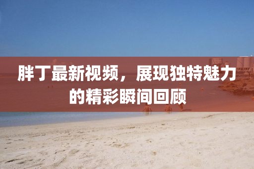 胖丁最新视频，展现独特魅力的精彩瞬间回顾