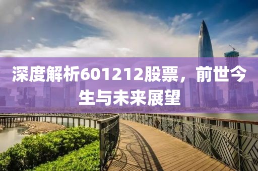 深度解析601212股票，前世今生与未来展望