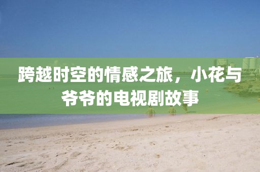 跨越时空的情感之旅，小花与爷爷的电视剧故事