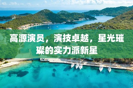 高源演员，演技卓越，星光璀璨的实力派新星