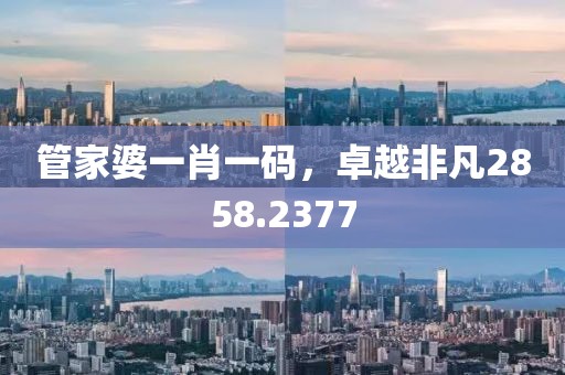管家婆一肖一码，卓越非凡2858.2377