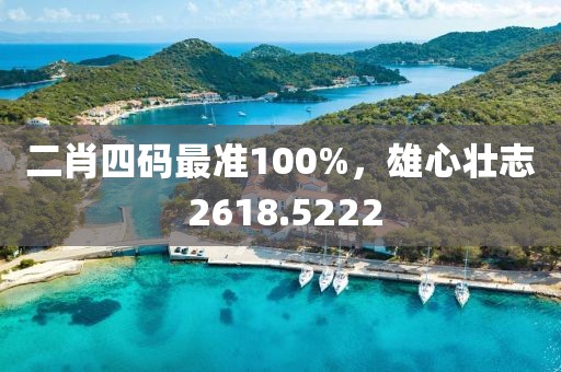 二肖四码最准100%，雄心壮志 2618.5222