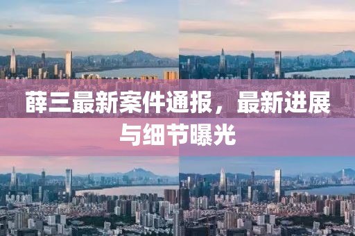 薛三最新案件通报，最新进展与细节曝光