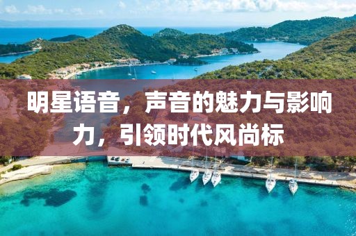 明星语音，声音的魅力与影响力，引领时代风尚标
