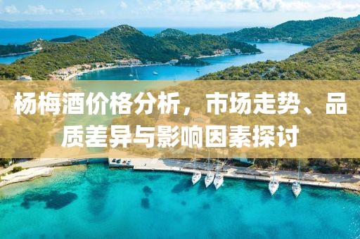 杨梅酒价格分析，市场走势、品质差异与影响因素探讨