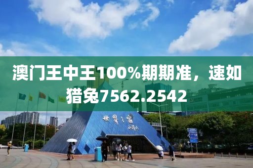 澳门王中王100%期期准，速如猎兔7562.2542