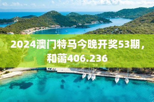 2024澳门特马今晚开奖53期，和蔼406.236