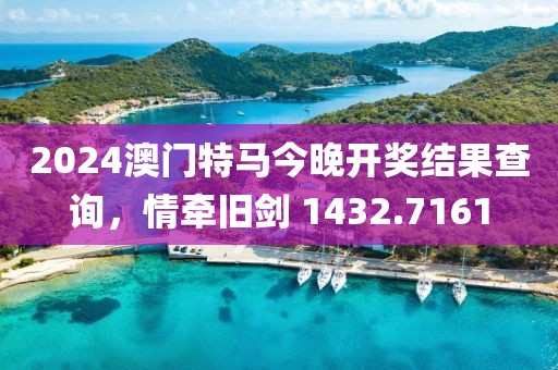 2024澳门特马今晚开奖结果查询，情牵旧剑 1432.7161