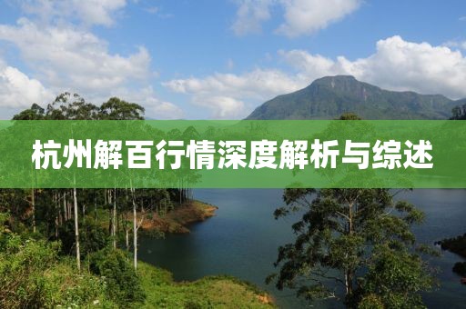 杭州解百行情深度解析与综述