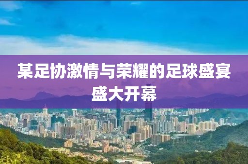 某足协激情与荣耀的足球盛宴盛大开幕