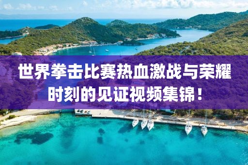 世界拳击比赛热血激战与荣耀时刻的见证视频集锦！