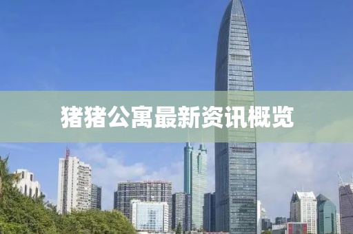 猪猪公寓最新资讯概览