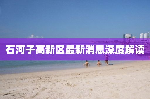 石河子高新区最新消息深度解读
