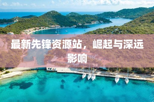最新先锋资源站，崛起与深远影响