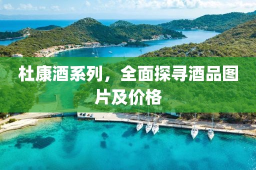 杜康酒系列，全面探寻酒品图片及价格