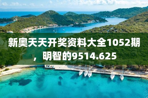 新奥天天开奖资料大全1052期，明智的9514.625