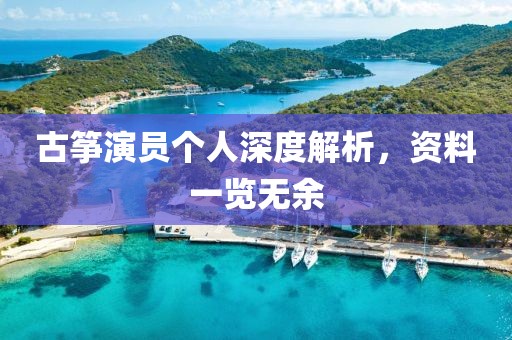 古筝演员个人深度解析，资料一览无余