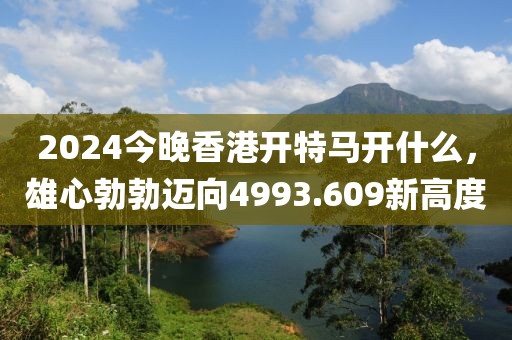 2024今晚香港开特马开什么，雄心勃勃迈向4993.609新高度