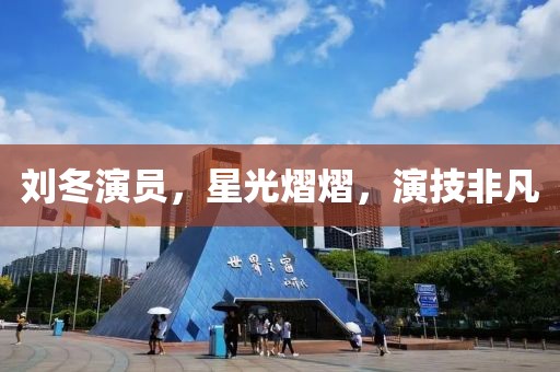 刘冬演员，星光熠熠，演技非凡