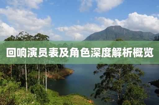 回响演员表及角色深度解析概览
