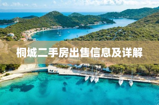 桐城二手房出售信息及详解