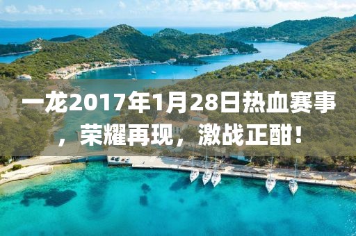 一龙2017年1月28日热血赛事，荣耀再现，激战正酣！