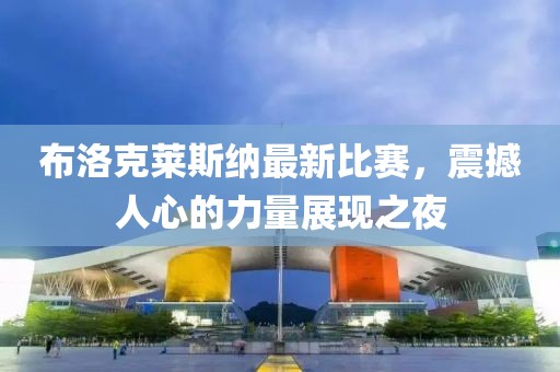 布洛克莱斯纳最新比赛，震撼人心的力量展现之夜