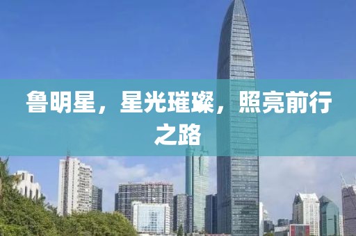 鲁明星，星光璀璨，照亮前行之路