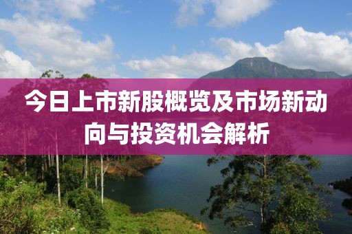 今日上市新股概览及市场新动向与投资机会解析